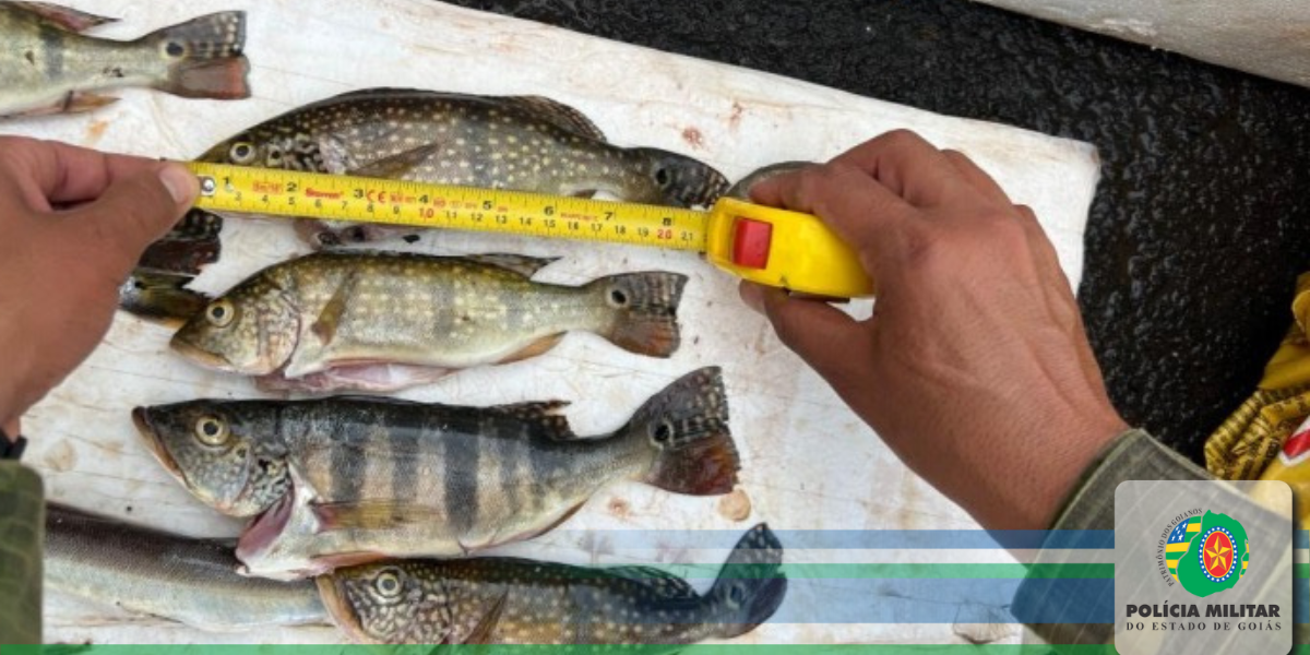 BATALHÃO AMBIENTAL NO COMBATE AO CRIME DE PESCA PREDATÓRIA