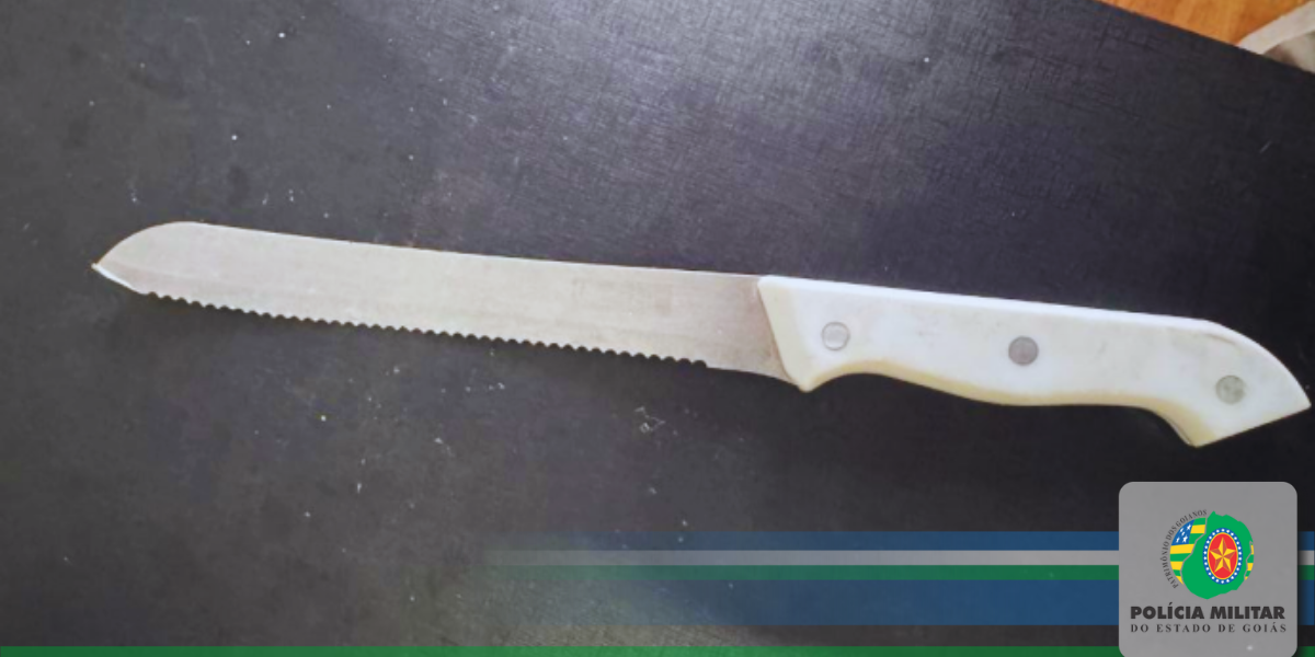 FORÇA TÁTICA E GCM DE RIO VERDE DETÉM HOMEM QUE AMEAÇOU E CAUSOU DANO CONTRA SUA PRÓPRIA FAMÍLIA