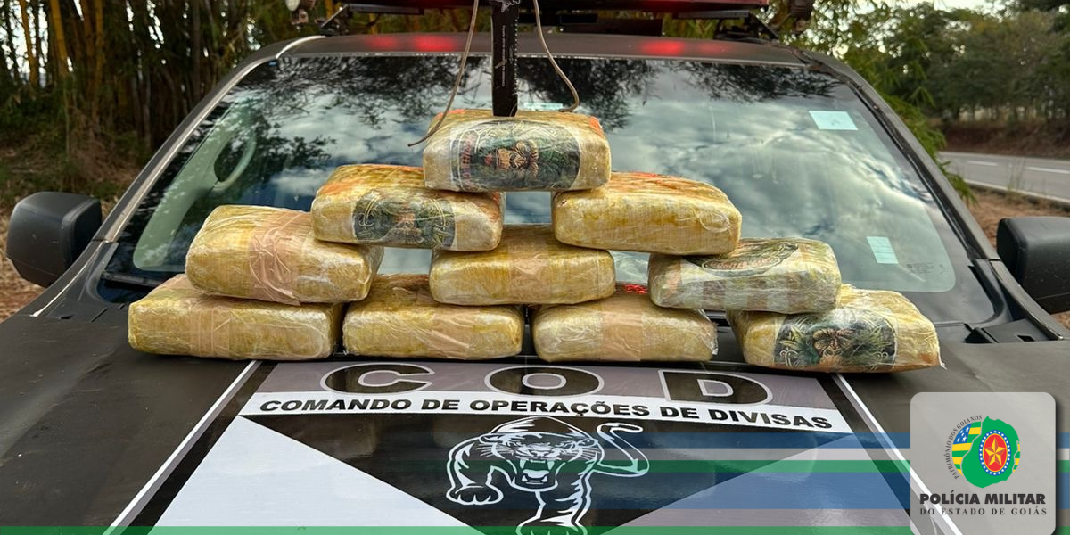 OPERAÇÃO DE COMBATE AO TRÁFICO INTERESTADUAL DE DROGAS RESULTA EM PRISÃO DE TRAFICANTE E APREENSÃO DE DROGAS