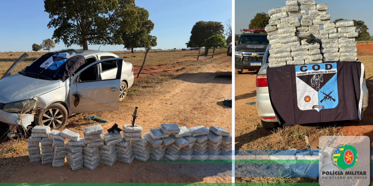 COD APREENDE GRANDE QUANTIDADE DE ‘SKUNK’, MAIS CONHECIDA COMO “ SUPER MACONHA”