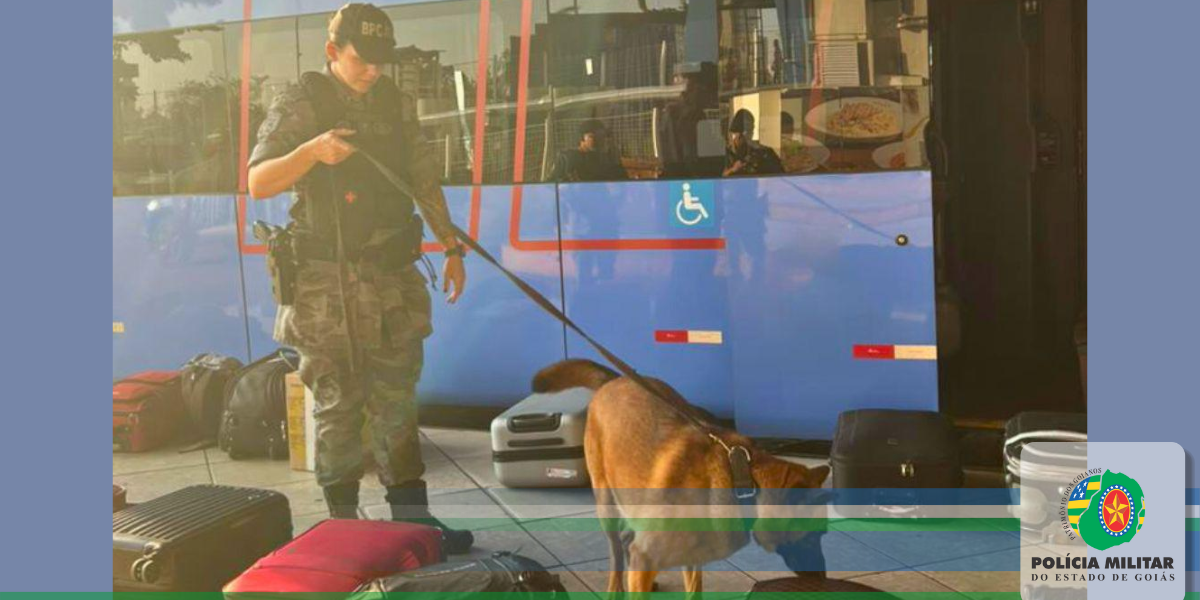 BPCÃES E 6° BPM LOCALIZAM 105 FRASCOS DE LANÇA-PERFUME EM MALA NA RODOVIÁRIA DE GOIÂNIA