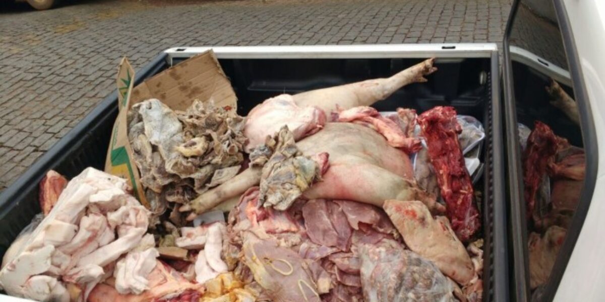 PROCON Goiás combate distribuição e comercialização de carne clandestina em Goiás