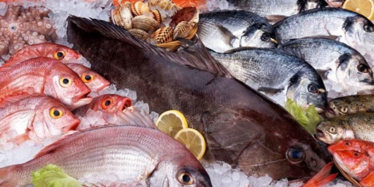Preço de pescado pode ter variação entre menor e maior preço de até 290%