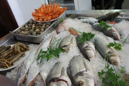 Procon Goiás divulga pesquisa de preços de pescado nesta terça (9/4)