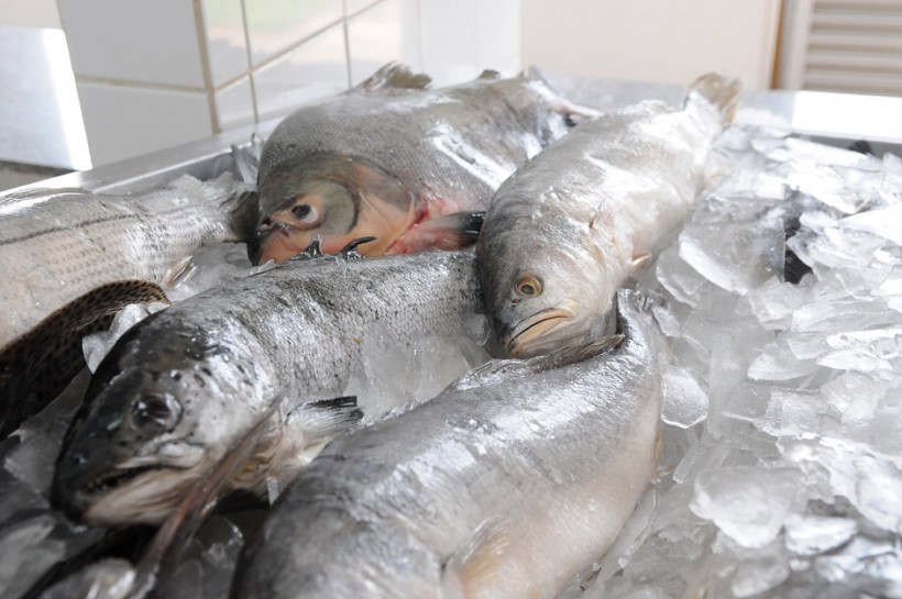 Pesquisa do Procon Goiás: pescados apresentam variação de até 187% na proximidade da Semana Santa