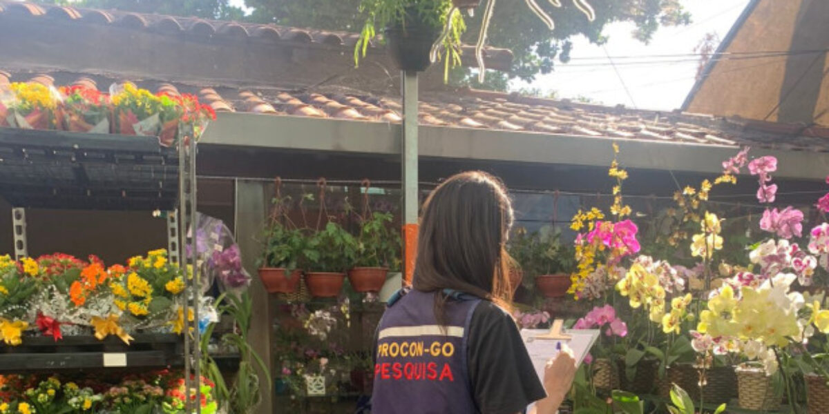 Pesquisa do Procon Goiás: flores registram variação de até 233% na véspera de Finados