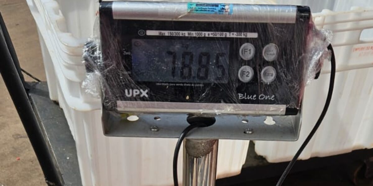 Procon Goiás autua supermercado por comercializar peixes vencidos