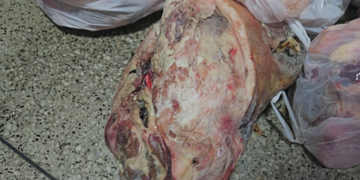 Fiscais do Procon Goiás apreendem 200 quilos de carnes impróprias para consumo em Buritinópolis