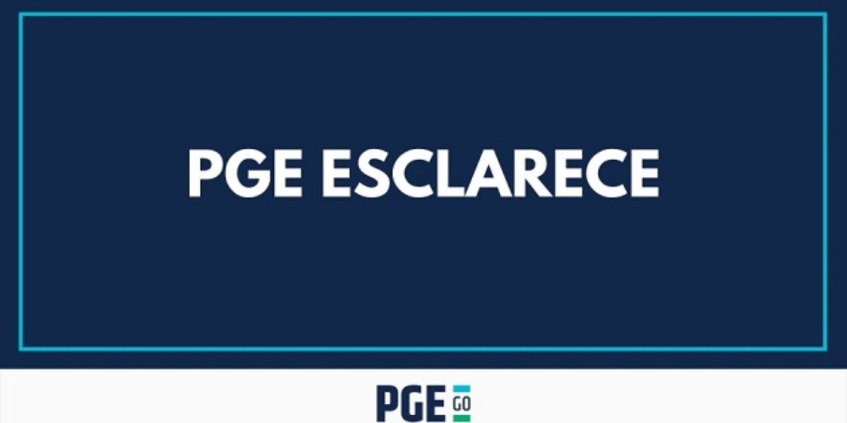 Servidor não imunizado, por vontade própria, deve retornar ao trabalho presencial