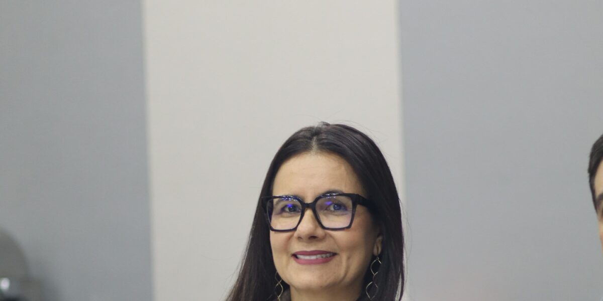 XIII ENPF: PGE-GO participa de reunião do Colégio de Corregedores-Gerais