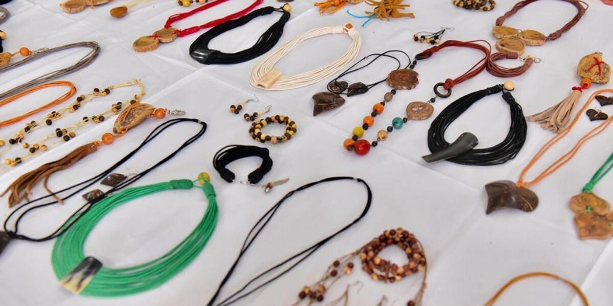 Artigo: Mapeamento dos tesouros vivos do Estado de Goiás