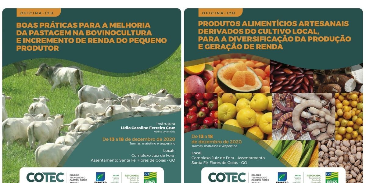 Flores de Goiás recebe oficinas gratuitas de manejo do pasto e de produtos alimentícios artesanais