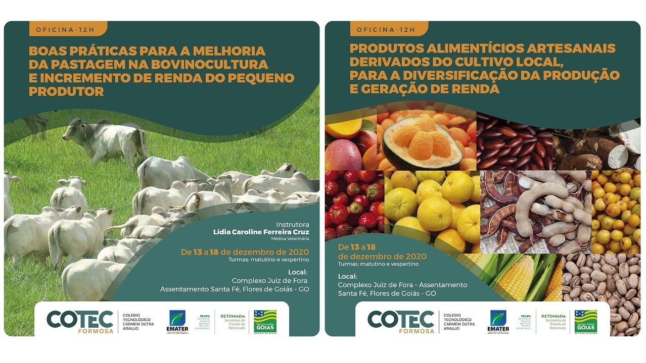 Flores de Goiás recebe oficinas gratuitas de manejo do pasto e de produtos alimentícios artesanais