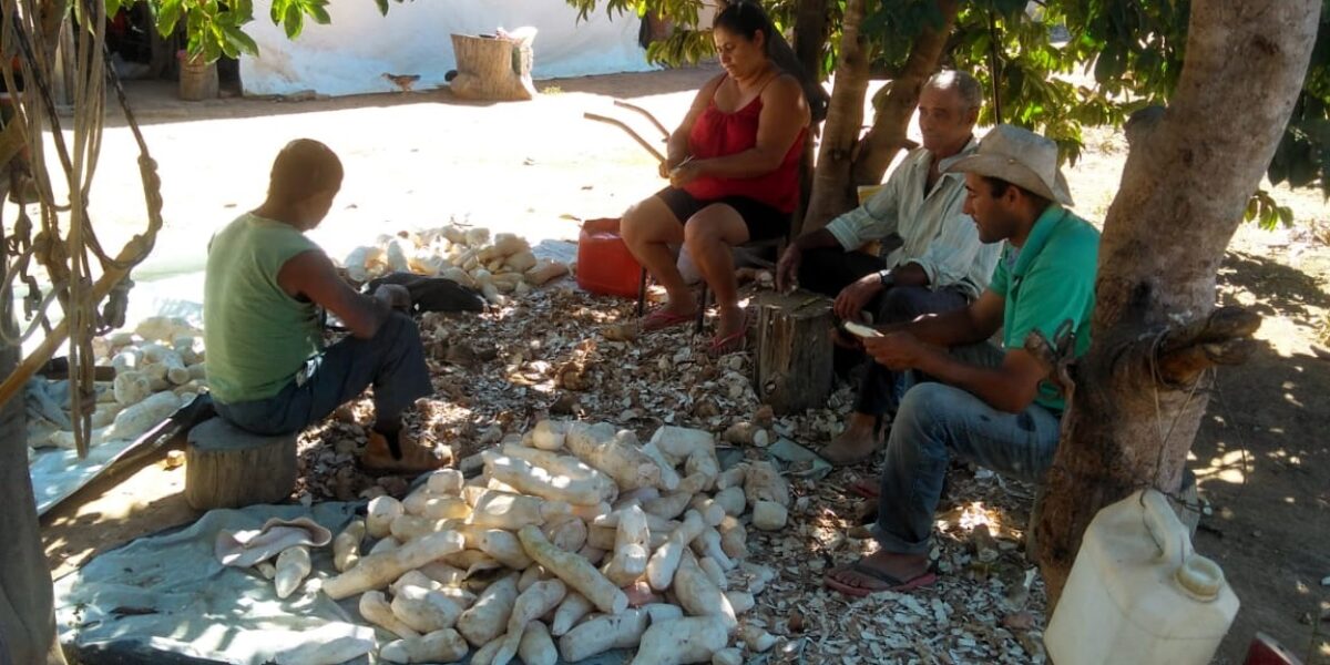 Governo de Goiás dá início às entregas do Programa de Aquisição de Alimentos Estadual