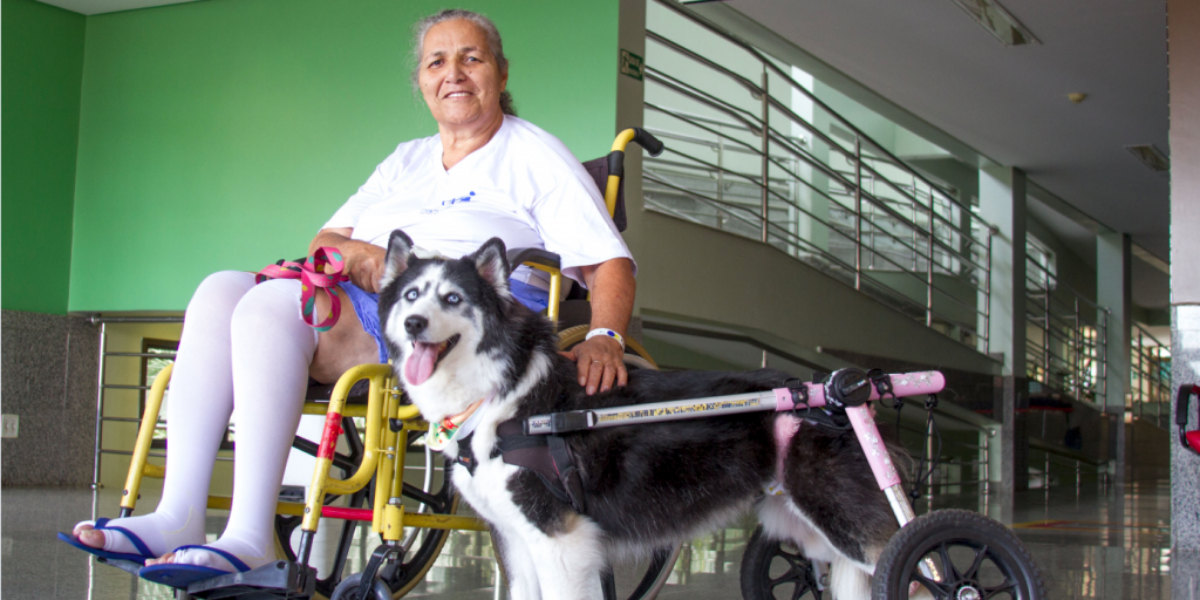 Alegria e emoção marcam visita de cães terapeutas no Crer