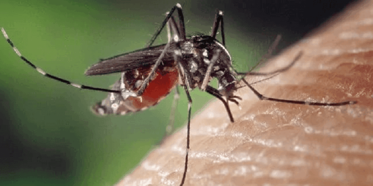 SES qualifica profissionais no atendimento às doenças pelo ‘Aedes aegypti’