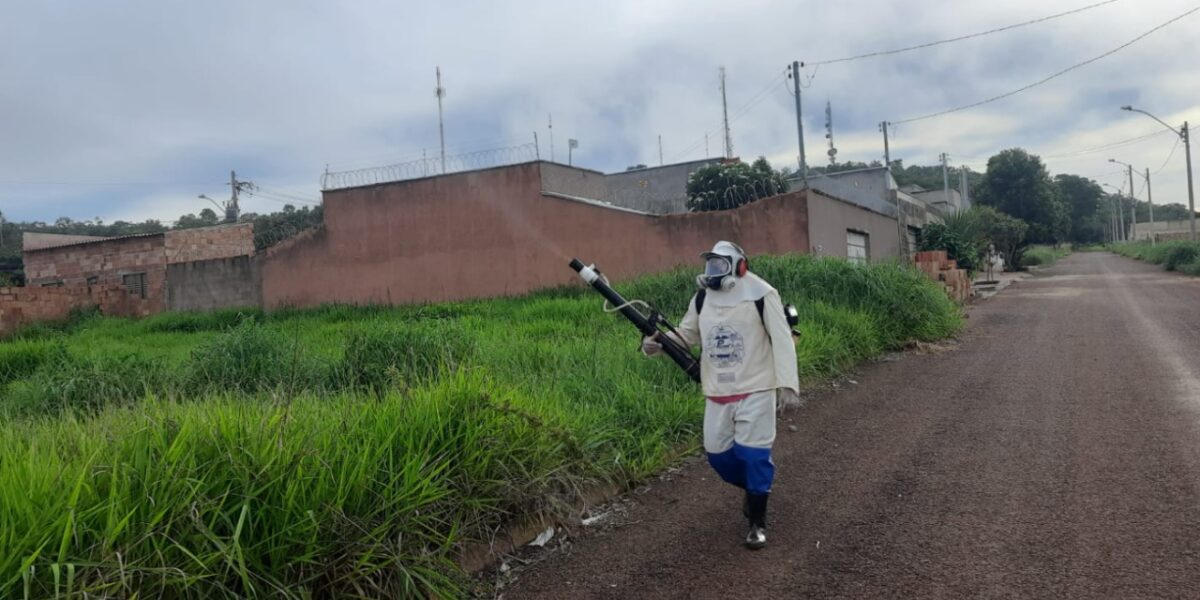 Governo de Goiás intensifica ações de combate ao ‘Aedes aegypti’