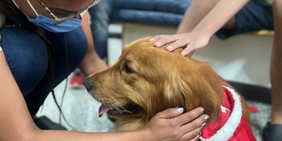 Pacientes do Crer vão receber visita de cães terapeutas nesta sexta-feira