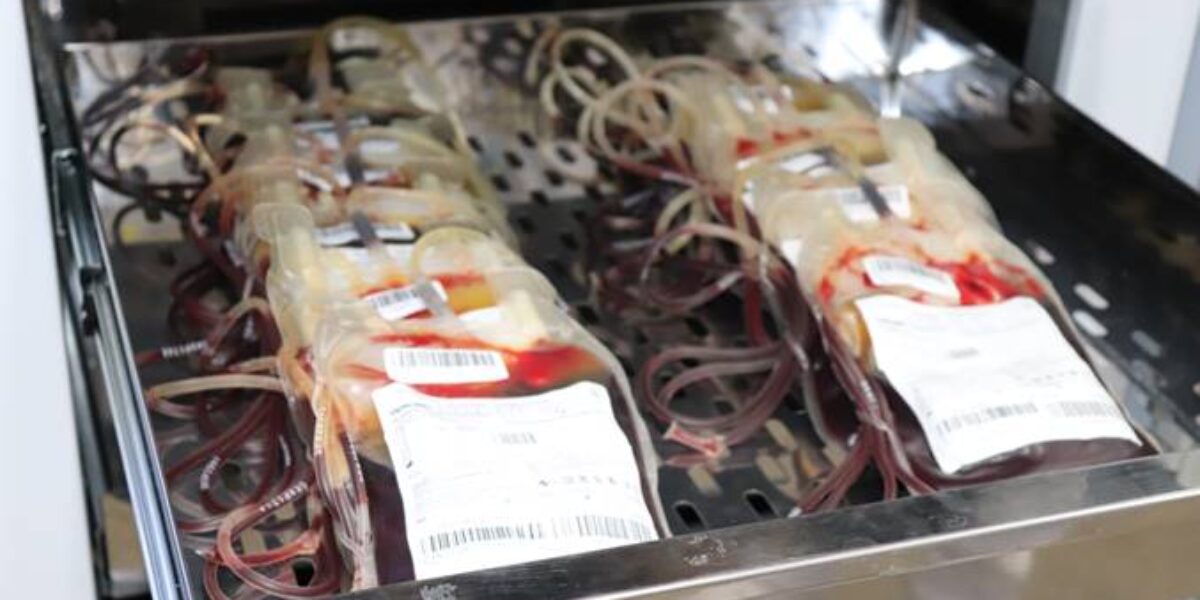 Rede Hemo envia 110 bolsas de sangue para o Hemocentro da Bahia
