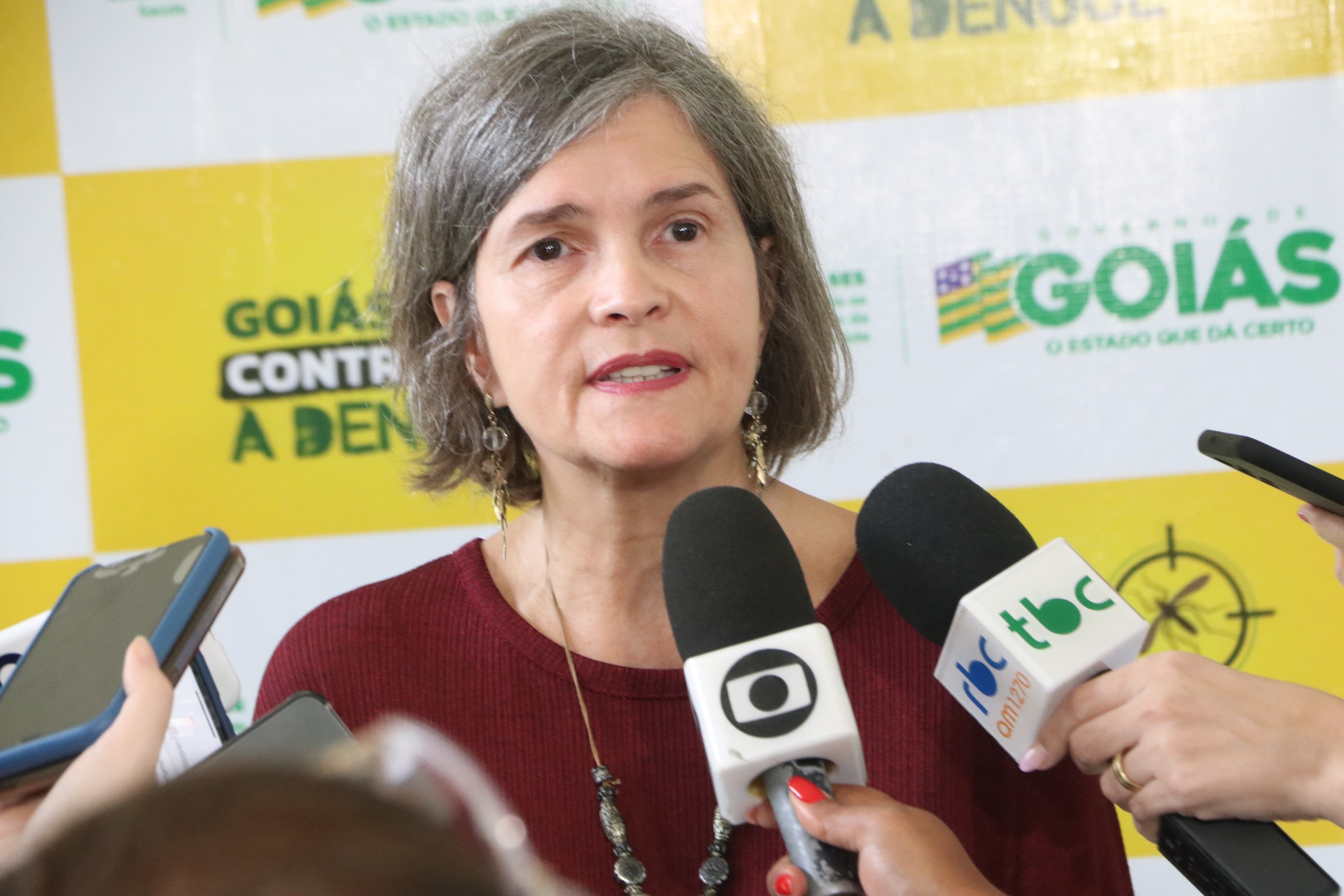 Governo de Goiás alerta população para o aumento no número de casos de dengue