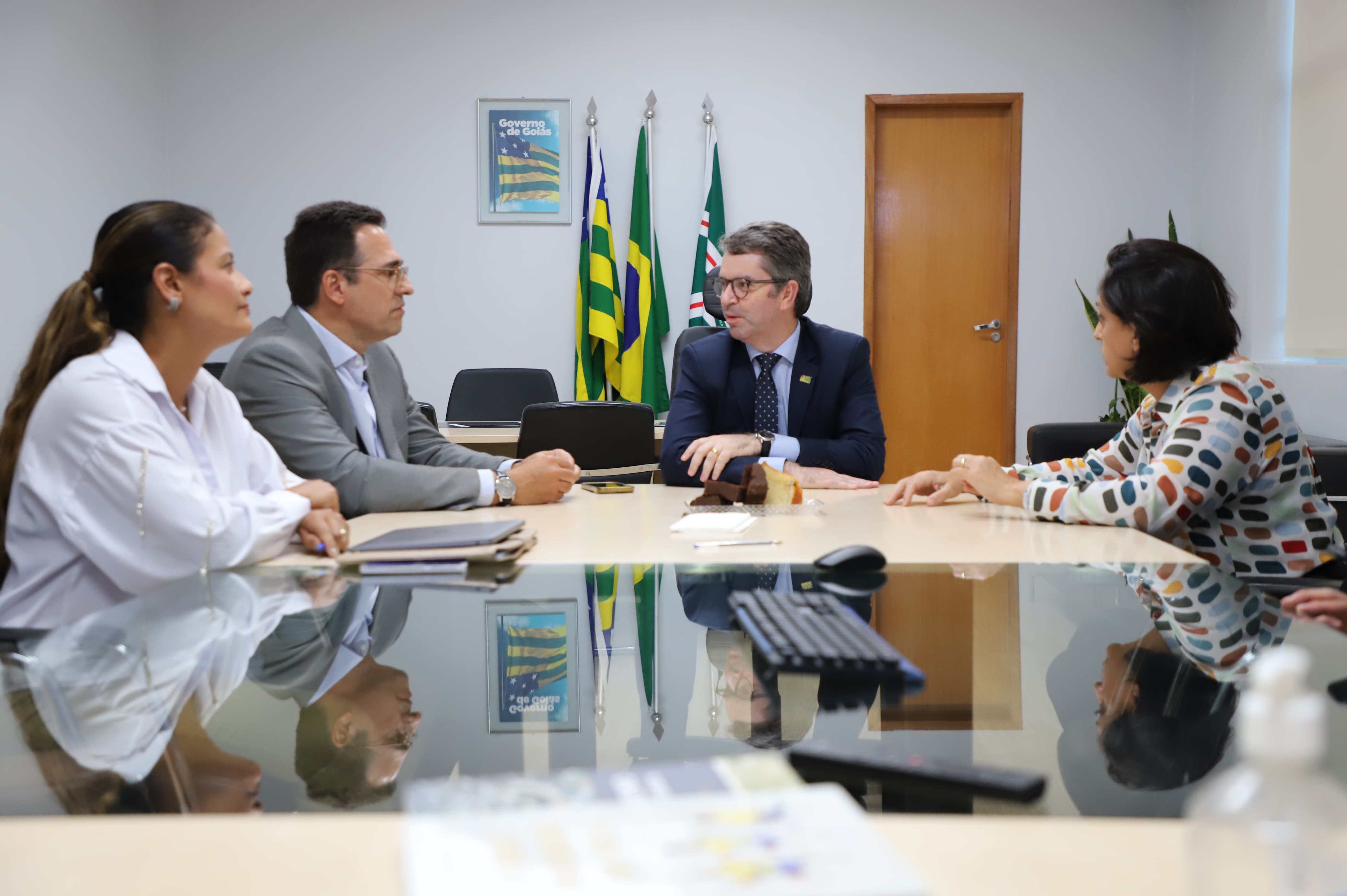 Reunião sobre o projeto Goiás Todo Rosa &#8211; 24/04/2024