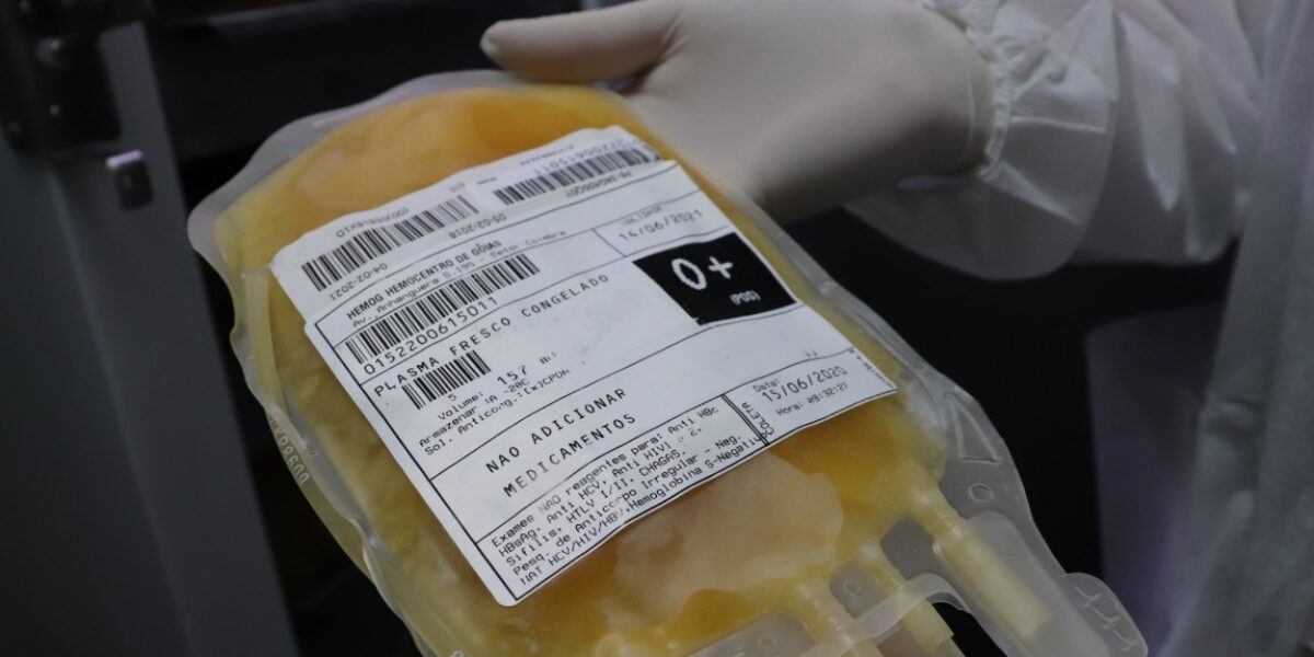Em 1 ano, Rede Hemo envia à Hemobras quase 11 mil bolsas de plasma para medicamentos