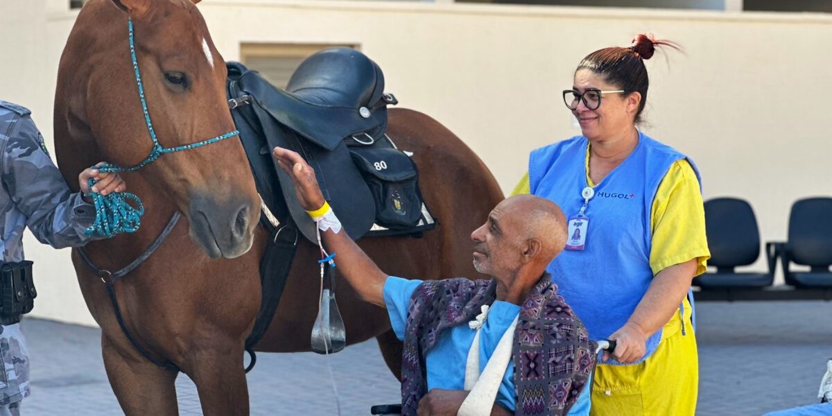 Terapia Assistida por Animais: pacientes do Hugol recebem visita de equinos da cavalaria da PM-GO