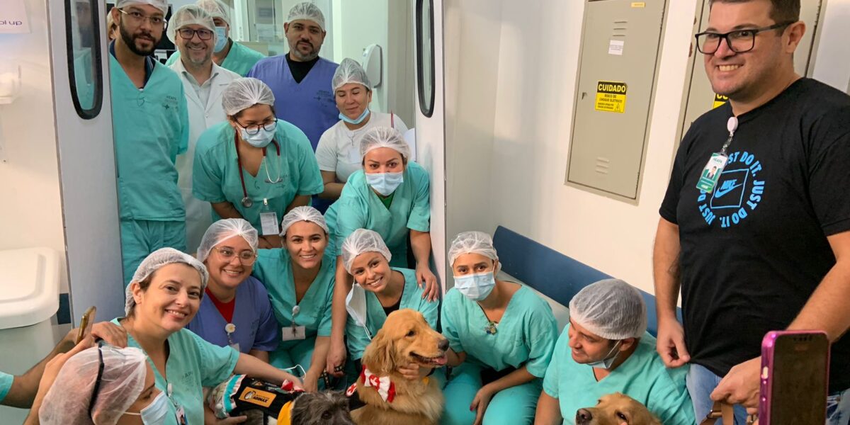 Hospital de Aparecida de Goiânia promove alegria e terapia com pets