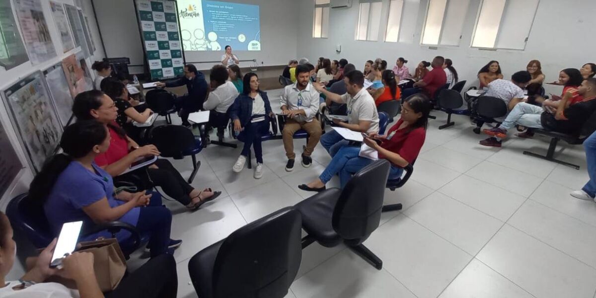 Profissionais do Hospital Estadual da Mulher recebem capacitação do Projeto RHP