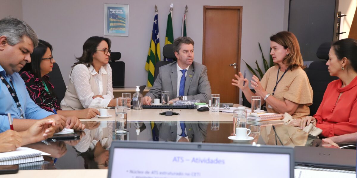 Secretário e técnicos da SES-GO reúnem-se com a pesquisadora da Fiocruz, Cristina Toscano Fonseca – 06/05/2025