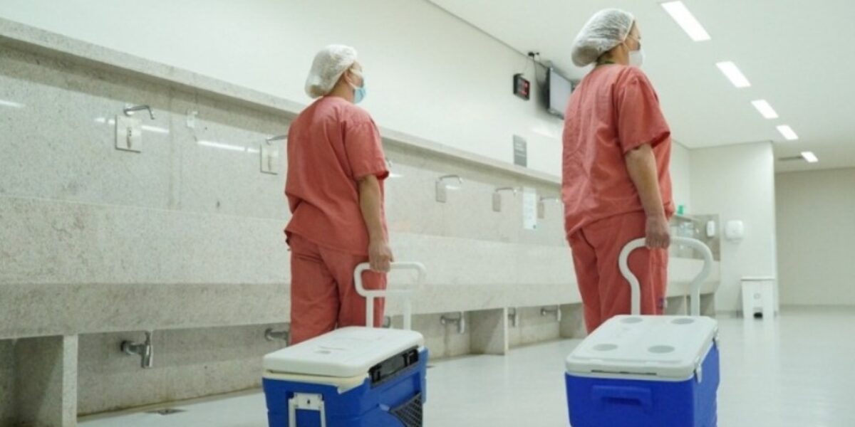 Saúde estadual investe na qualificação de médicos para impulsionar doação de órgãos