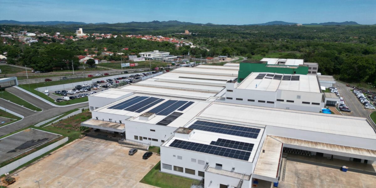 Pelo Dia Mundial do Meio Ambiente, HCN reforça compromisso com sustentabilidade
