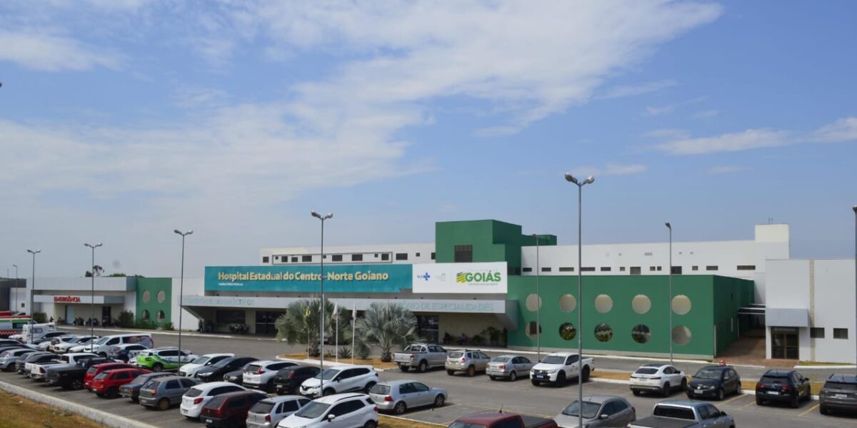 HCN alerta sobre aumento de acidentes envolvendo escorpiões