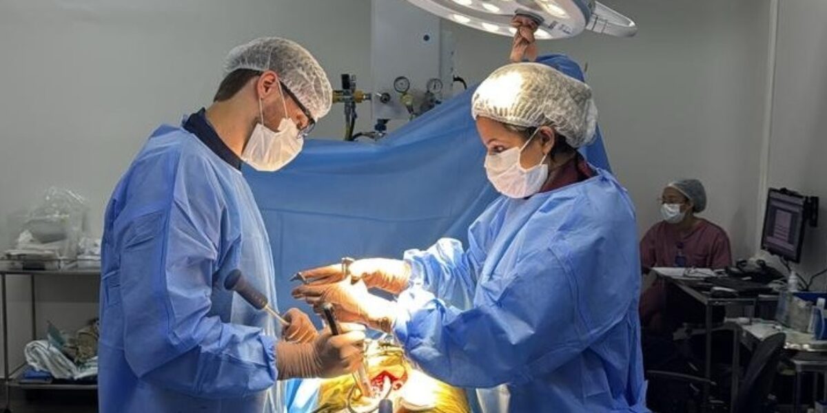 Hugo integra neurocirurgia e ortopedia para o cuidado de pacientes com problemas de coluna