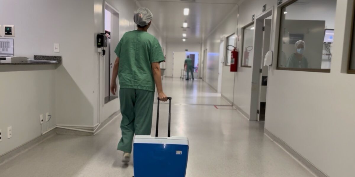 Hecad integra rede estadual de doação e transplantes de órgãos