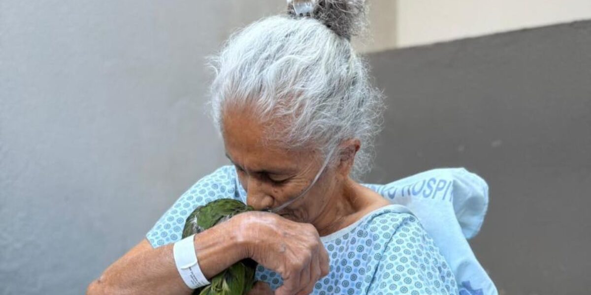 Paciente do Heja recebe visita do papagaio de estimação