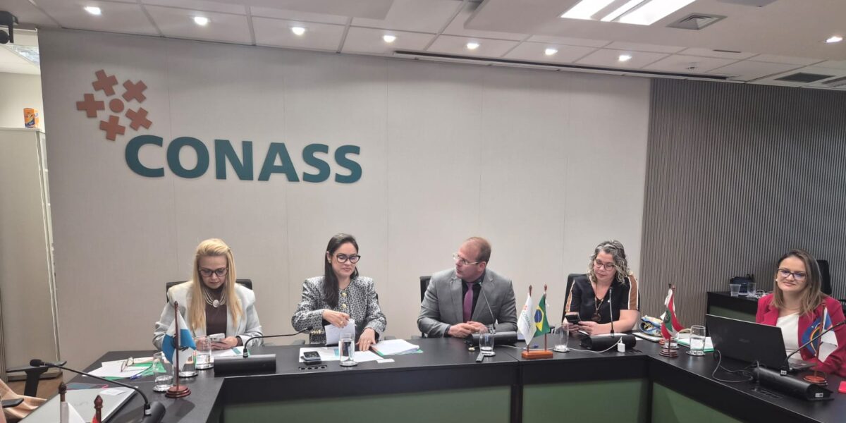 Saúde leva experiência exitosa da Classificação de Atenção ao Recém-nascido para Conass