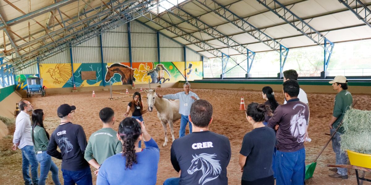 Crer promove curso de Equideocultura e Manejo de Cavalos para equipe de Equoterapia