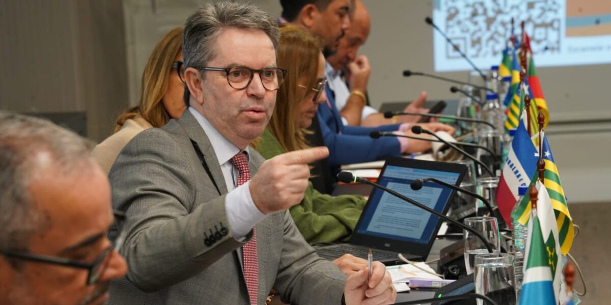 Em reunião no Conass, Saúde estadual destaca estratégias de combate ao metanol em Goiás