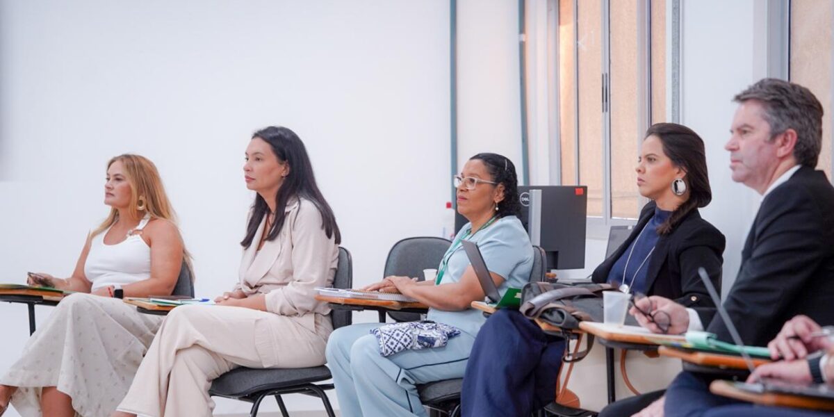 Gestores e profissionais participam de Oficina de Planejamento Estratégico do Projeto Respira Goiás – 16/01/2026