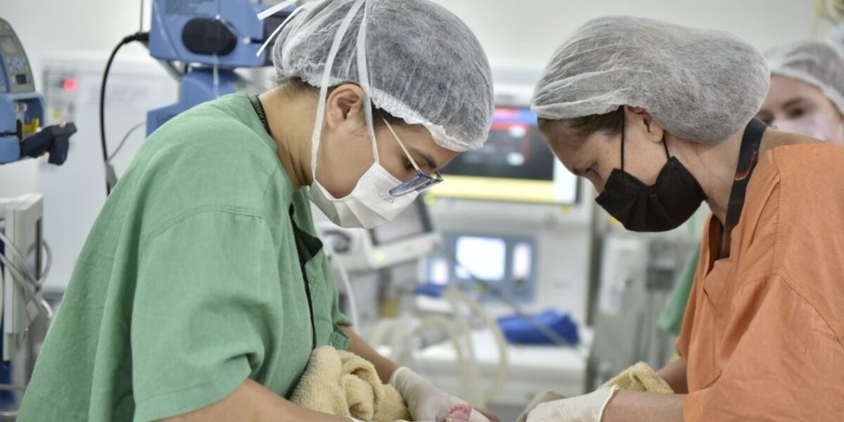 Goiás avança na oferta de cirurgias e procedimentos cardíacos para crianças