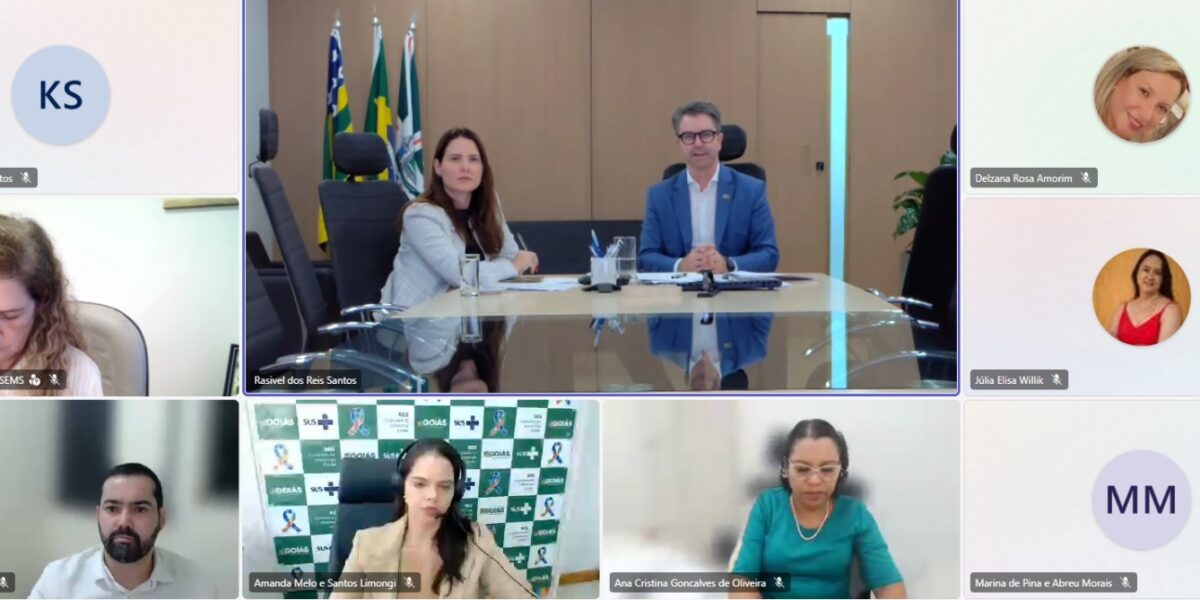 CIB discute campanha de vacinação contra influenza e aumento de casos de dengue e chikungunya em Goiás