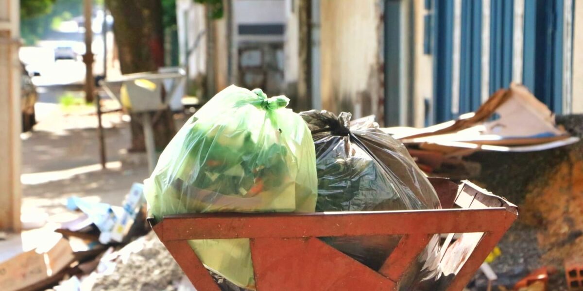 Dengue não tira férias: HDT orienta população a manter cuidados contra o Aedes aegypti durante a seca