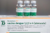 SES-GO recebe 16 mil doses da vacina Butantan-DV contra a dengue – 20/02/2026