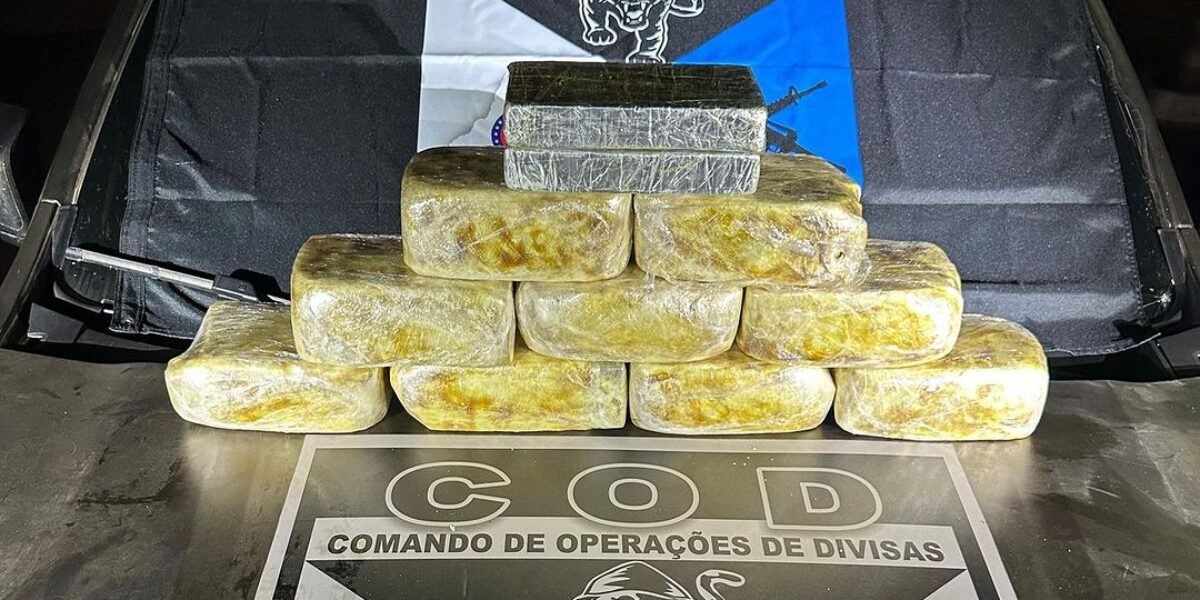 Ação Conjunta entre COD e Receita Federal realiza apreensão de carga milionária de cocaína