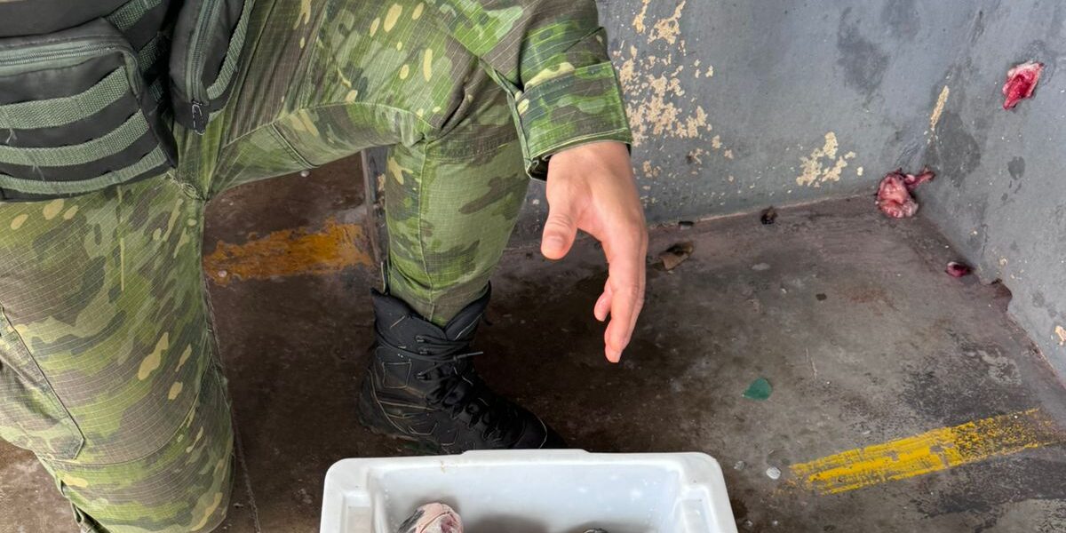 Batalhão Ambiental apreende 12Kg de pescado durante a Piracema