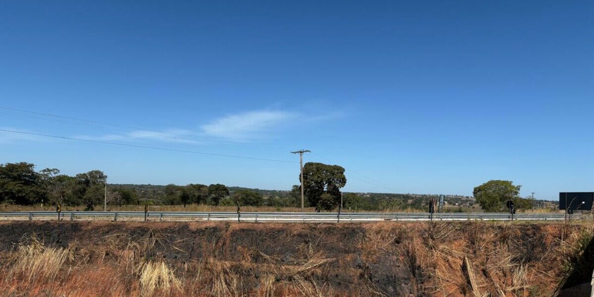 Polícia Civil prende em flagrante investigado que ateou fogo em rodovia de acesso ao povoado de Luiz Alves