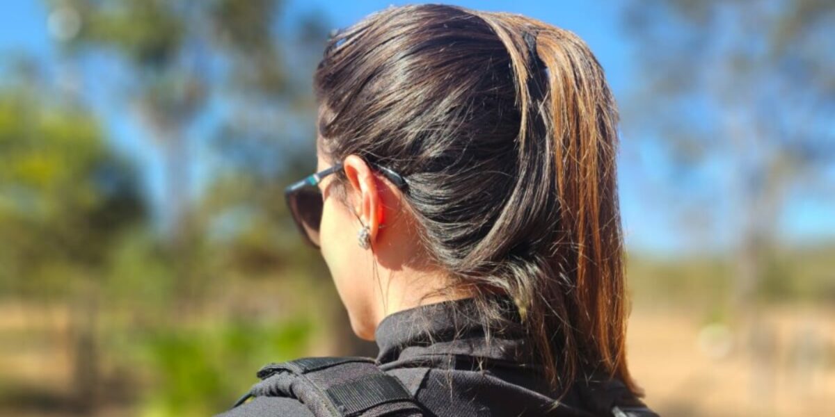 Operação Pasto Vazio: PCGO investiga furto de mais de 150 cabeças de gado em Luziânia