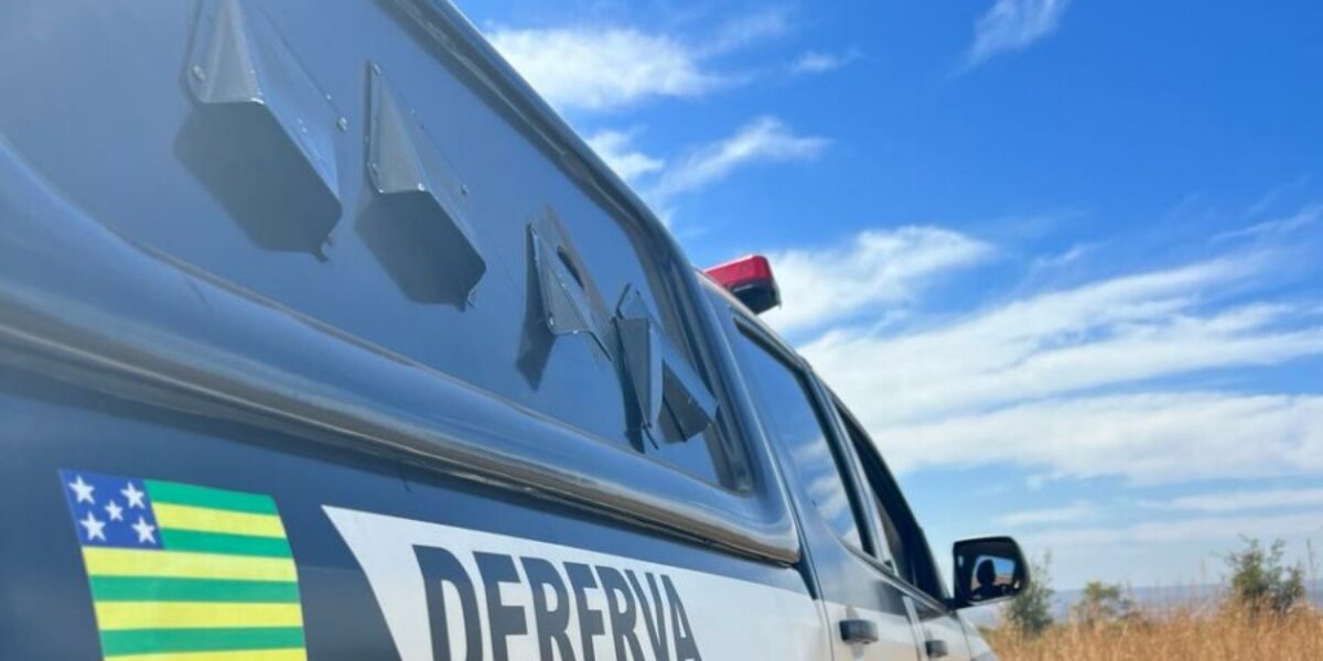 PCGO cumpre mandado de busca para apurar furto de veículos e prende investigado por armazenar e compartilhar material de pornografia infantil