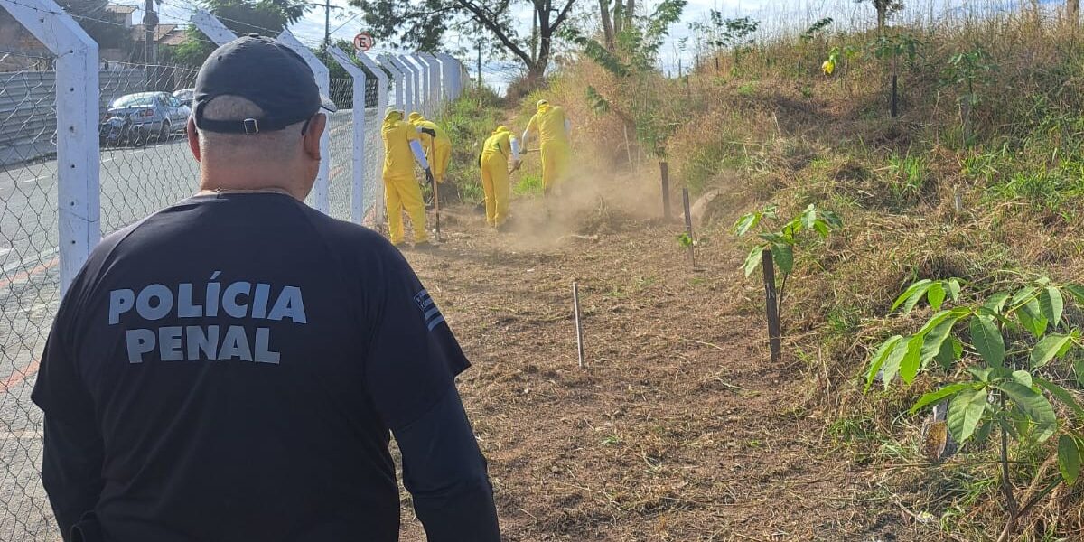 Morro da Serrinha recebe nova limpeza de mão de obra carcerária